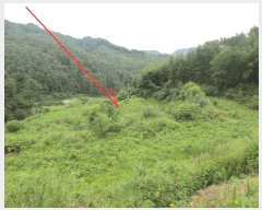  2025Ÿ50808  õ  縮 86      (1)