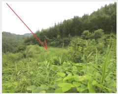  2025Ÿ50808  õ  縮 86      (1)