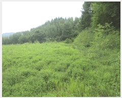  2025Ÿ50808  õ  縮 86      (1)