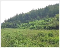  2025Ÿ50808  õ  縮 86      (1)