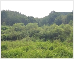  2025Ÿ50808  õ  縮 86      (1)