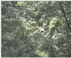  2025Ÿ��50816 ���� ȭõ�� �ϳ��� �������� �� 40     ����(�Ӿ�)���