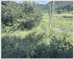  2025Ÿ��50816 ���� ȭõ�� �ϳ��� �������� �� 40     ����(�Ӿ�)���