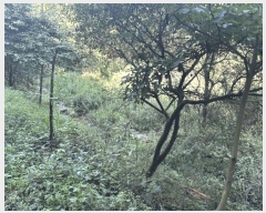  2025Ÿ��50816 ���� ȭõ�� �ϳ��� �������� �� 40     ����(�Ӿ�)���