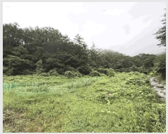  2025Ÿ��50824 ���� ��õ�� ����� ���̸� 435-4      ����(�Ӿ�)���