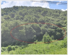  2025Ÿ��50865  ����