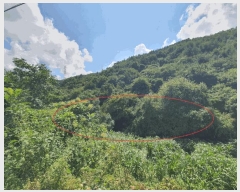  2025Ÿ��50865  ����