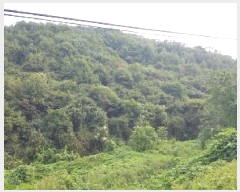  2025Ÿ��50865  ����