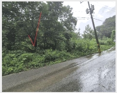  2025Ÿ��50869  �����