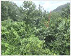  2025Ÿ��50869  �����