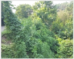  2025Ÿ��50869  �����