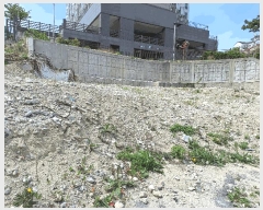  2025Ÿ��198  �������