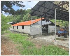  2025Ÿ��240 ���� ��ô�� �ٴ��� �ſ��� 554-3      ���(�󰡽ü�)���