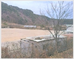  2025Ÿ��30516  ���������