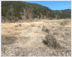  2025Ÿ��30522  ����