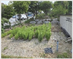  2025Ÿ��30559  �ٸ��ü����