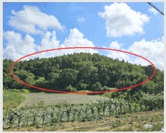  2025Ÿ��30570 ���� ������ ��õ�� �浿�� ��214-3      ����(�Ӿ�)���