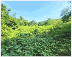  2025Ÿ��30648  �����