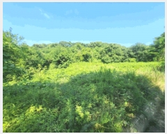  2025Ÿ��30648  �����