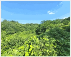  2025Ÿ��30648  �����