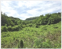  2025Ÿ��30648  �����