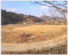  2025Ÿ��3004  �Ӿ߰��