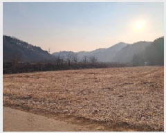  2025Ÿ��3004  �Ӿ߰��