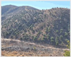  2025Ÿ30327    õ 212-2      ()