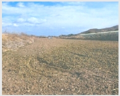  2025Ÿ30327    õ 212-2      ()