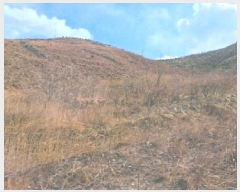  2025Ÿ30327    õ 212-2      ()