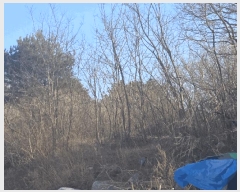  2025Ÿ��30447  �Ӿ߰��