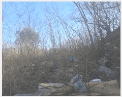  2025Ÿ��30447  �Ӿ߰��