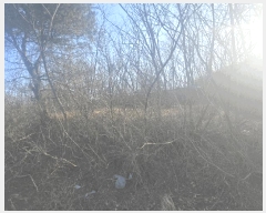  2025Ÿ��30447  �Ӿ߰��