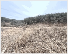  2025Ÿ��30449 ���� ������ ����� ���̸� 537      ����(��1)���