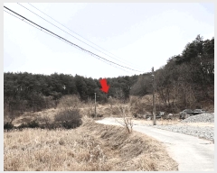  2025Ÿ��30449 ���� ������ ����� ���̸� 537      ����(��1)���