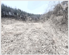  2025Ÿ��30449 ���� ������ ����� ���̸� 537      ����(��1)���