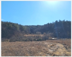  2025Ÿ��30449 ���� ������ ����� ���̸� 537      ����(��1)���