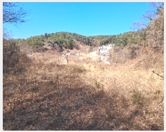  2025Ÿ��30449 ���� ������ ����� ���̸� 537      ����(��1)���