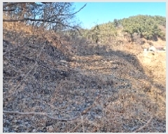  2025Ÿ��30449 ���� ������ ����� ���̸� 537      ����(��1)���