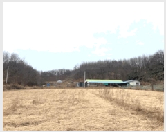  2025Ÿ��30460  �Ӿ߰��