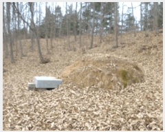  2025Ÿ��30460  �Ӿ߰��