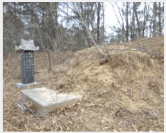  2025Ÿ��30460  �Ӿ߰��