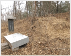  2025Ÿ��30460  �Ӿ߰��