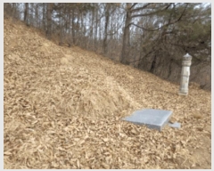  2025Ÿ��30460  �Ӿ߰��