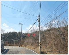  2025Ÿ��30462  �Ӿ߰��