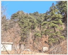  2025Ÿ��30471 ���� ��ô�� ������ ��80       ����(�Ӿ�)���