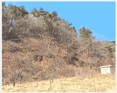  2025Ÿ��30471 ���� ��ô�� ������ ��80       ����(�Ӿ�)���