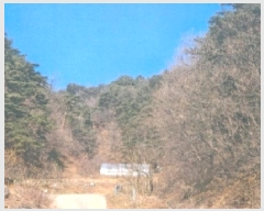  2025Ÿ��30471 ���� ��ô�� ������ ��80       ����(�Ӿ�)���