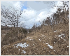  2025Ÿ��30477 ���� ���ؽ� ���ѵ� ��31-6       ����(�Ӿ�)���