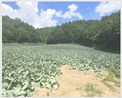  2025Ÿ��30646 ���� ������ �ջ�� ���ܸ� 551      ����(��1)���